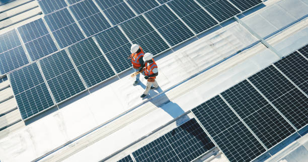 Best Roof Maintenance and Cleaning  in Dresden, OH