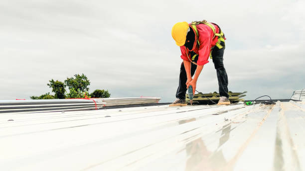 Best Emergency Roof Repair Services  in Dresden, OH