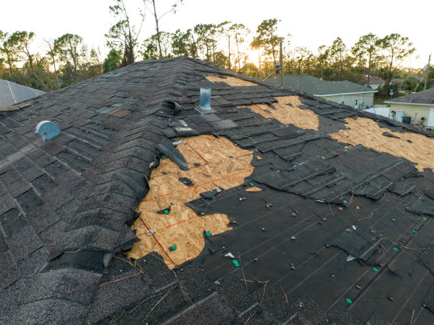 Best Cold Roofs  in Dresden, OH